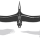 Illustration for article titled Behold The Largest Bird To Have Ever Flown